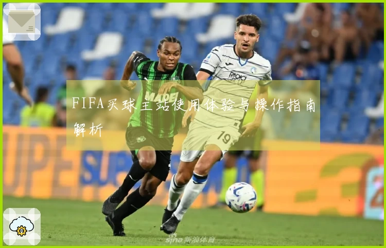 FIFA买球主站使用体验与操作指南解析