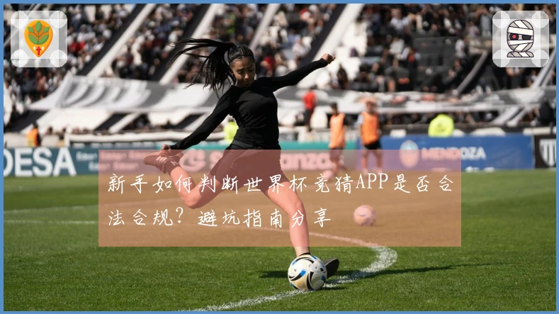 新手如何判断世界杯竞猜APP是否合法合规？避坑指南分享