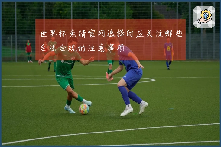 世界杯竞猜官网选择时应关注哪些合法合规的注意事项