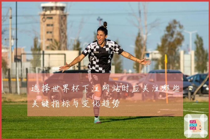 选择世界杯下注网站时应关注哪些关键指标与变化趋势