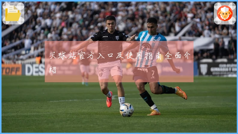 买球站官方入口及使用指南全面介绍