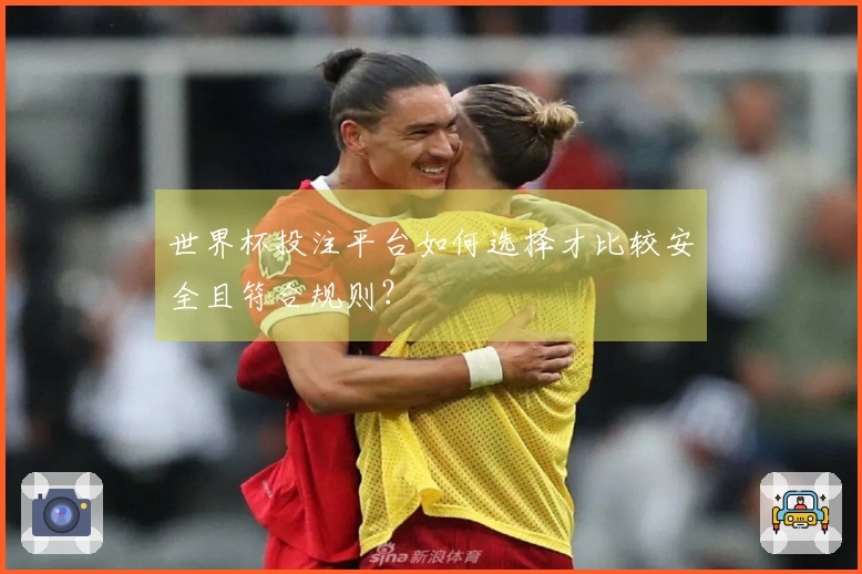 世界杯投注平台如何选择才比较安全且符合规则？