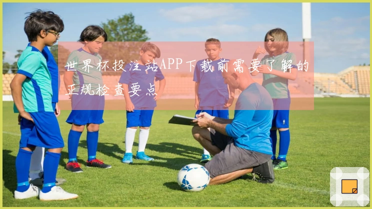 世界杯投注站APP下载前需要了解的正规检查要点