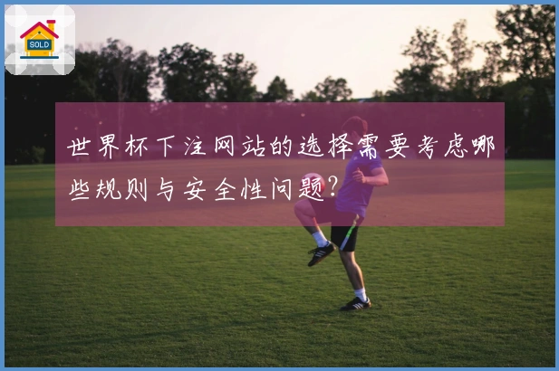 世界杯下注网站的选择需要考虑哪些规则与安全性问题？