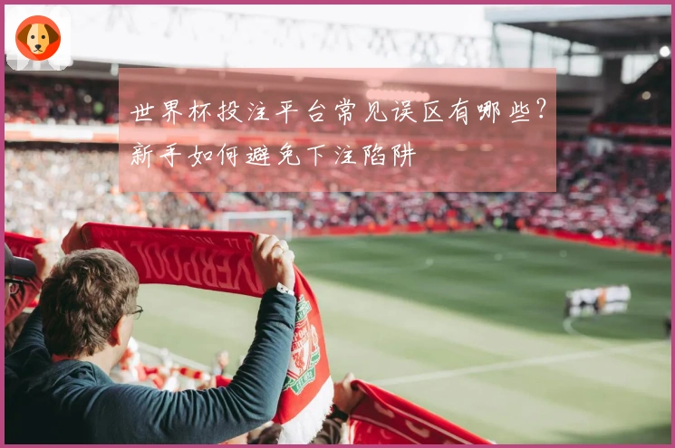 世界杯投注平台常见误区有哪些?新手如何避免下注陷阱