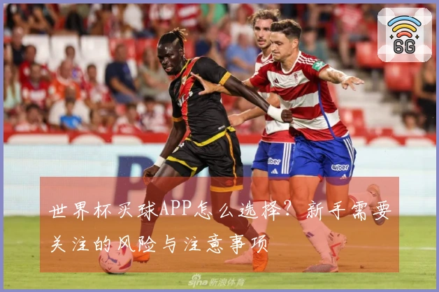 世界杯买球APP怎么选择？新手需要关注的风险与注意事项