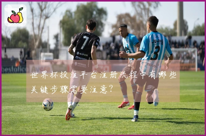 世界杯投注平台注册流程中有哪些关键步骤需要注意?