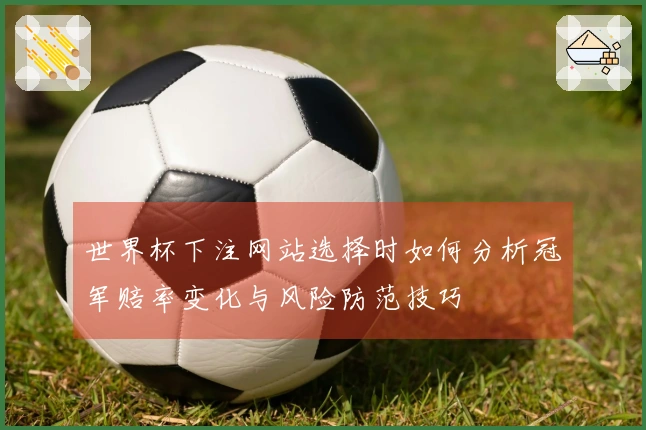世界杯下注网站选择时如何分析冠军赔率变化与风险防范技巧