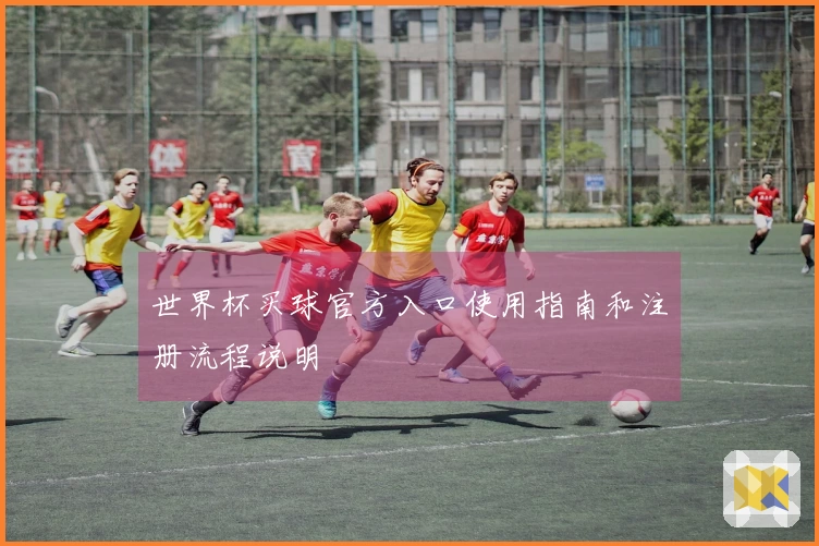 世界杯买球官方入口使用指南和注册流程说明