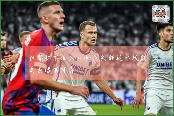 世界杯下注入口如何判断返水规则是否透明可靠