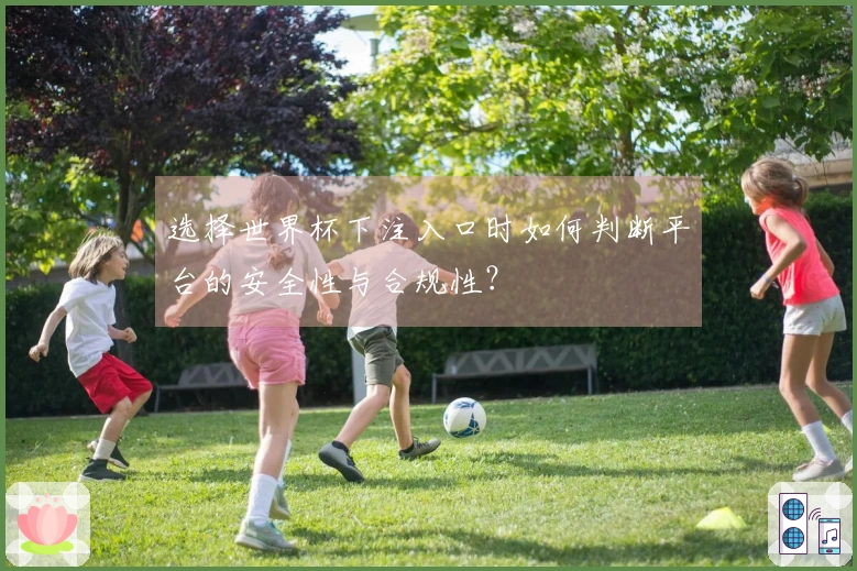 选择世界杯下注入口时如何判断平台的安全性与合规性？
