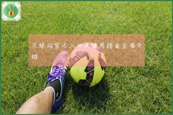 买球站官方入口及使用指南全面介绍