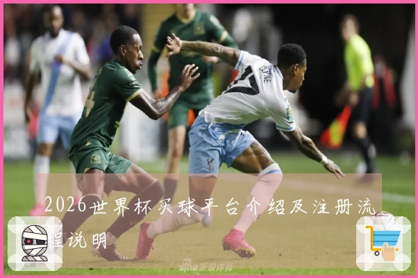 2026世界杯买球平台介绍及注册流程说明