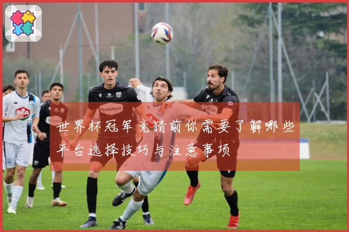 世界杯冠军竞猜前你需要了解哪些平台选择技巧与注意事项