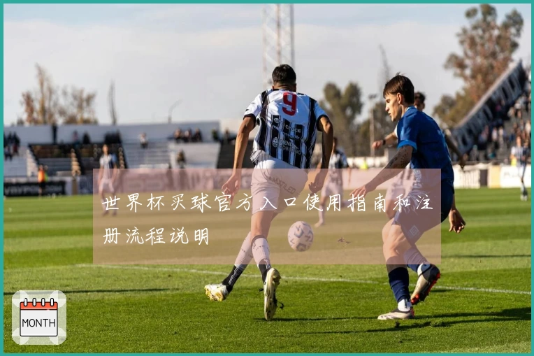 世界杯买球官方入口使用指南和注册流程说明