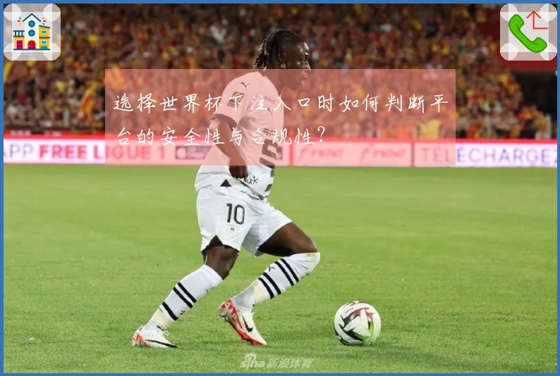 选择世界杯下注入口时如何判断平台的安全性与合规性？