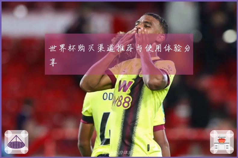 世界杯购买渠道推荐与使用体验分享