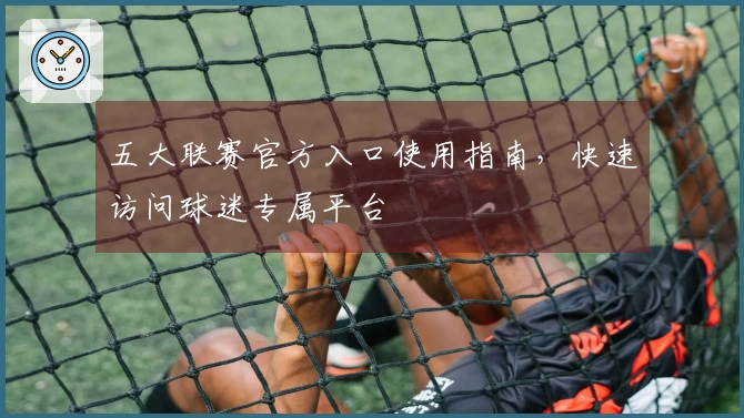 五大联赛官方入口使用指南，快速访问球迷专属平台